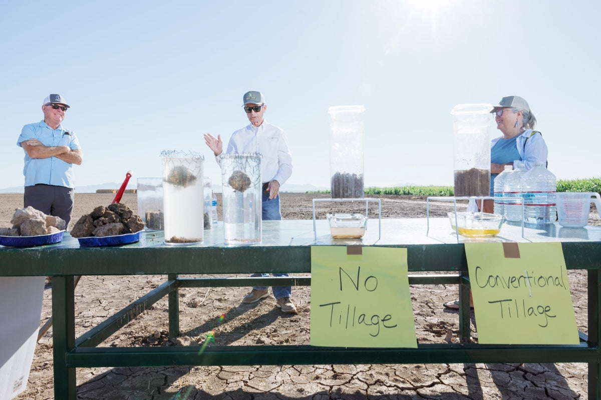 Proof from the Field: How Regenerative Farming Heals Our Soil and Our Bodies