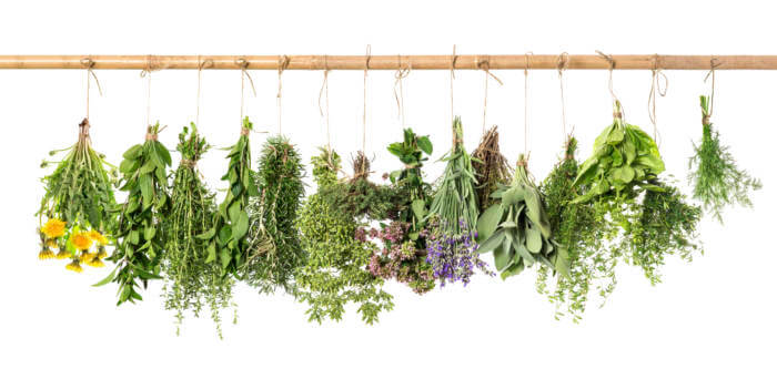 Enjoying Summer Botanicals: A Quick & Easy Guide