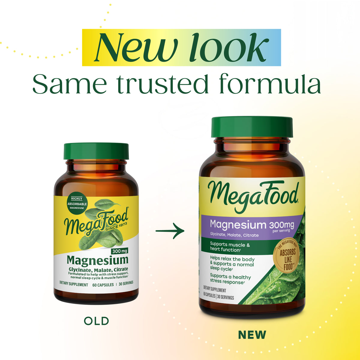 Magnesium 300 mg Capsules