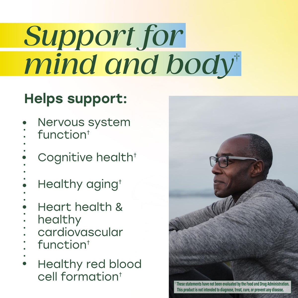 Extra Strength Methyl B12