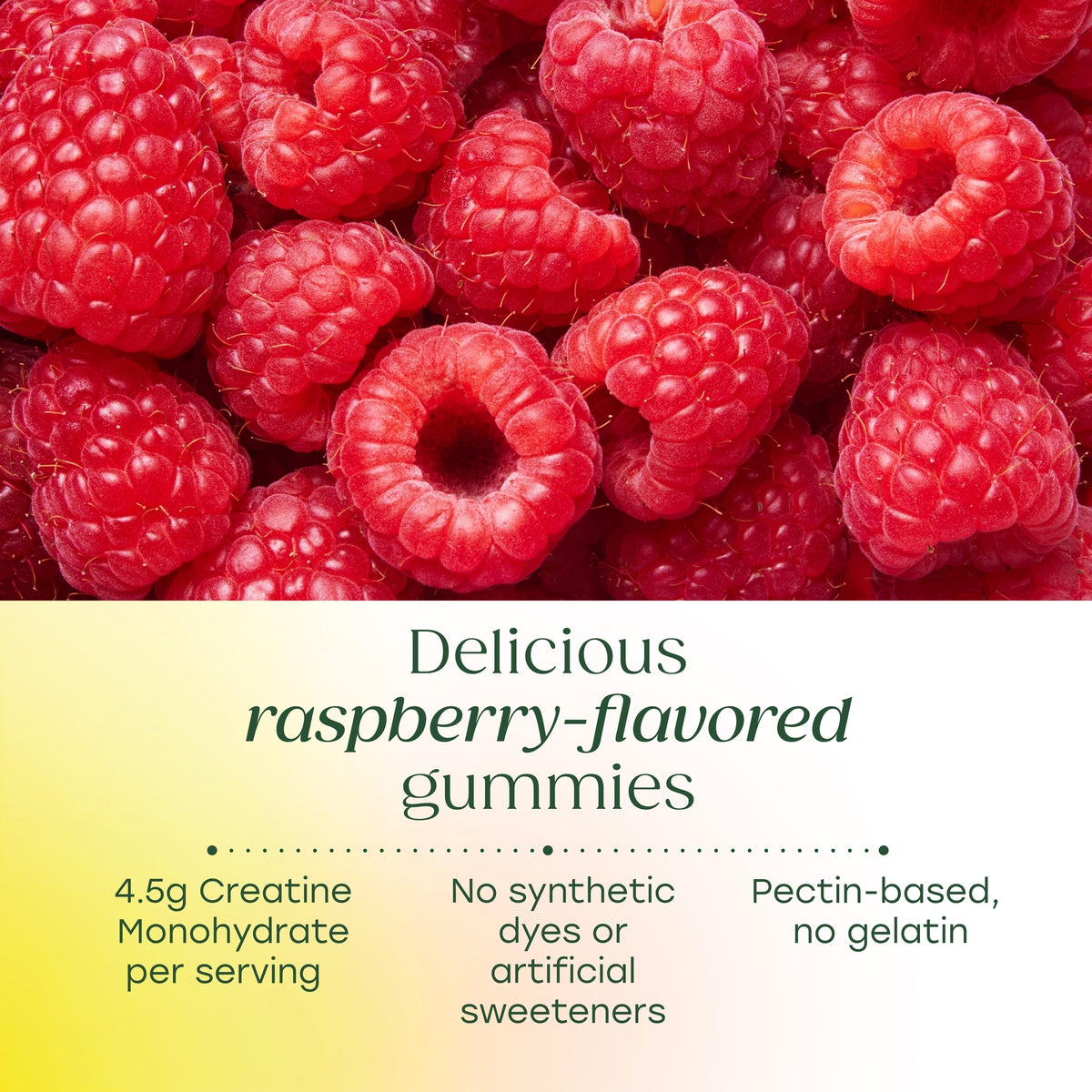 Creatine Monohydrate Gummies