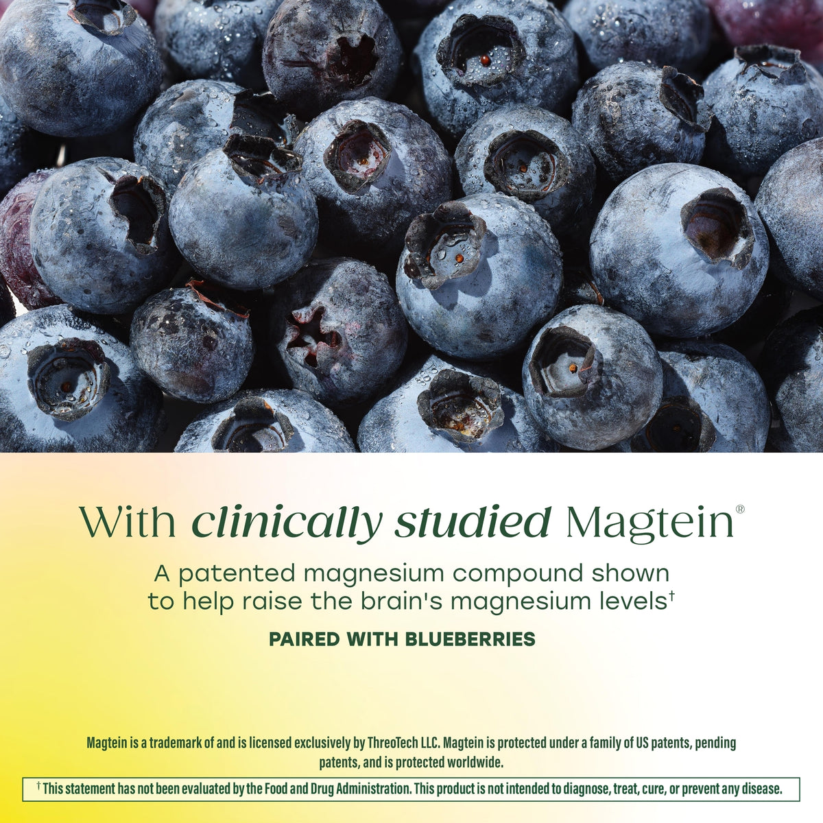 Magtein® Magnesium L-Threonate