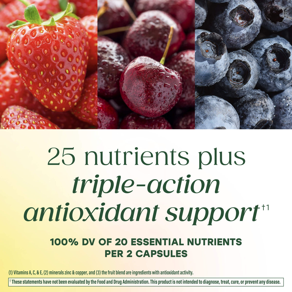 25 nutrients plus triple-action antioxidant support