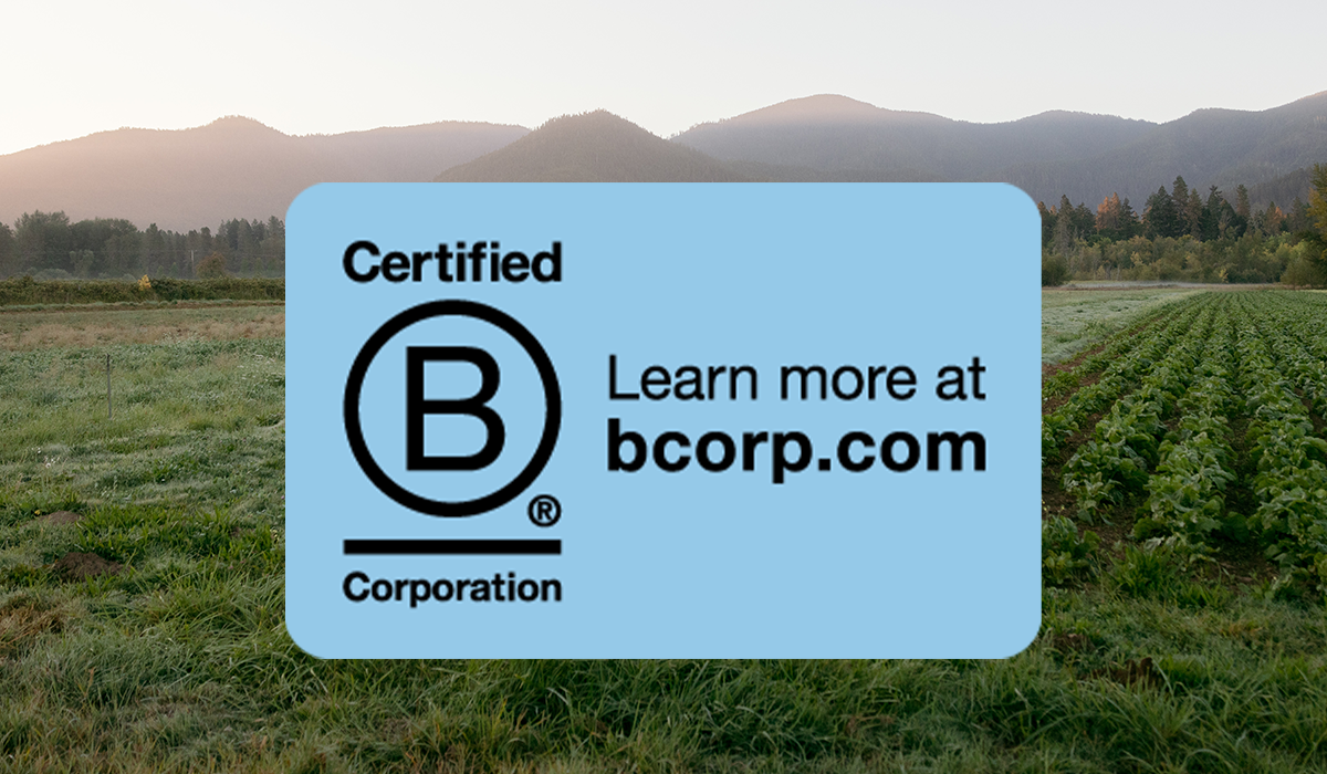 2025 B Corp Recertification 