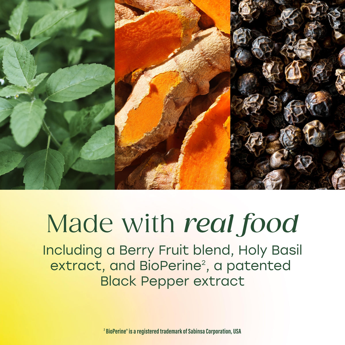 Turmeric Curcumin Whole Body