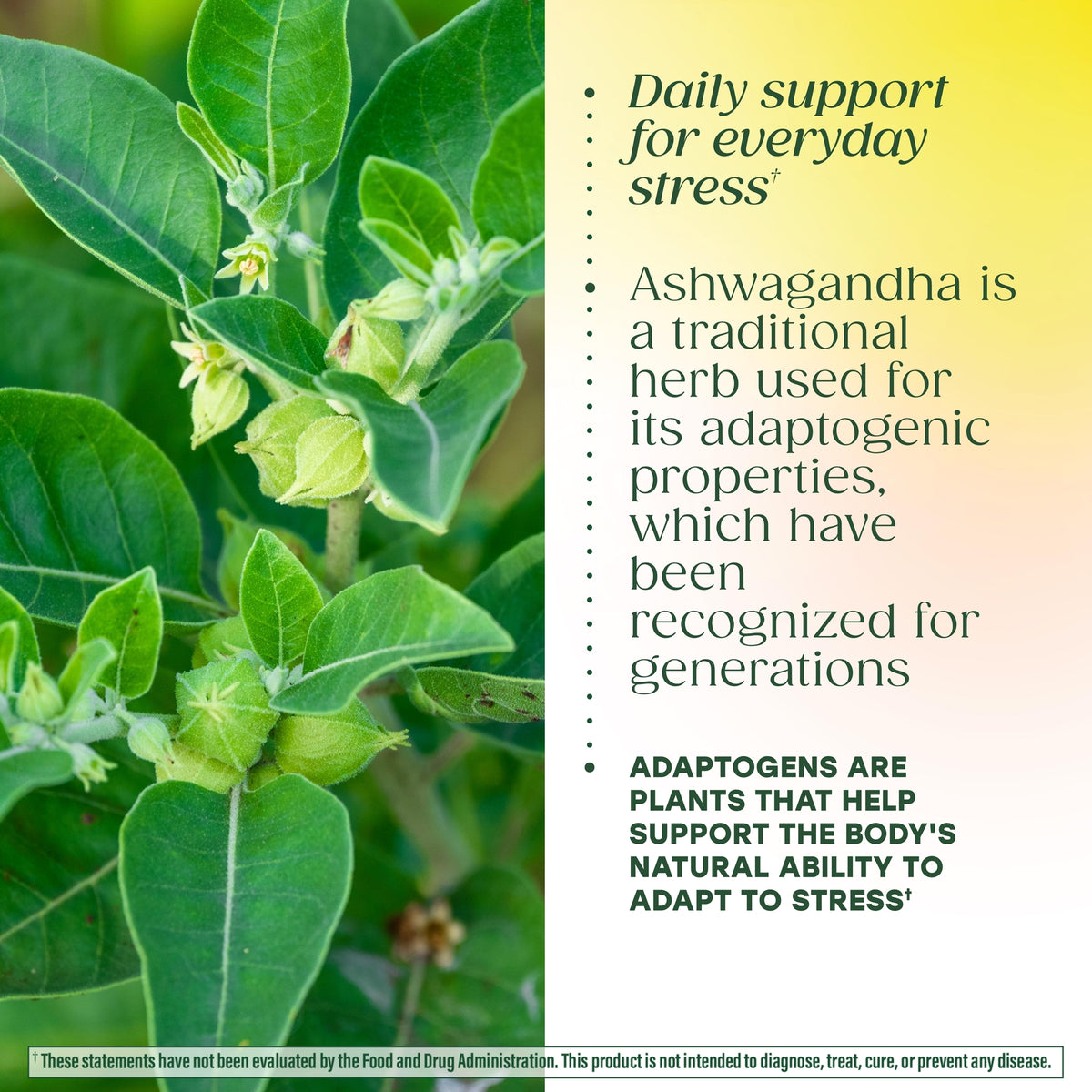 Adrenal Strength®