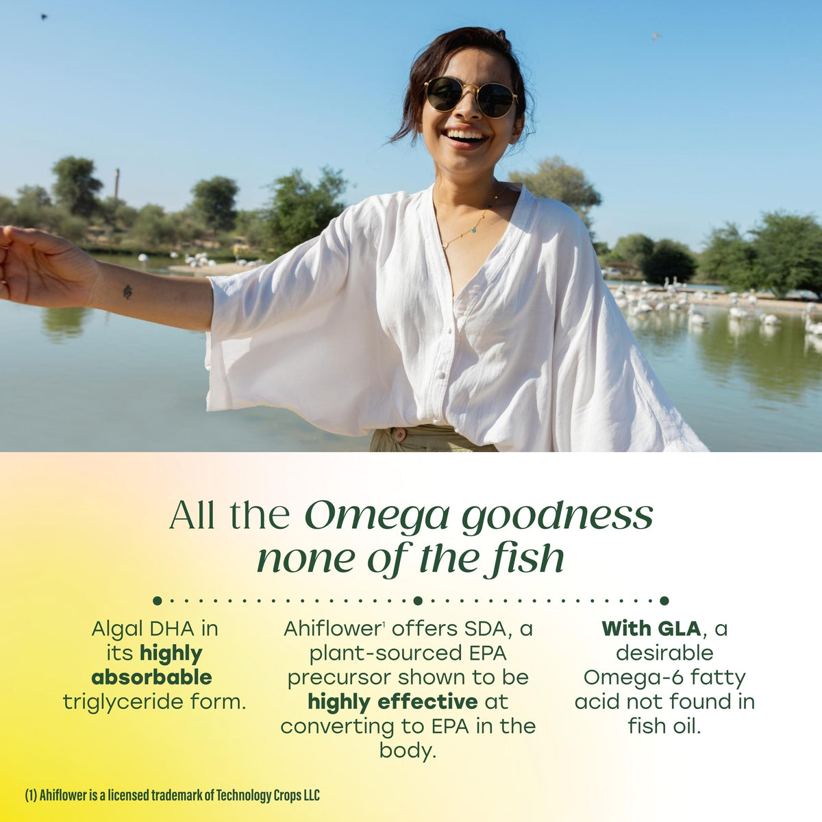Omega 3-6-9